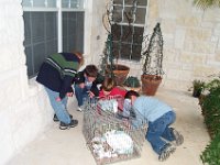 Picture 042