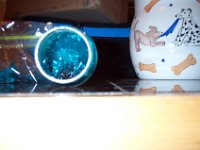 Picture 007