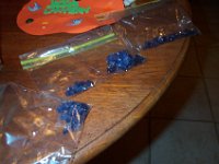 Picture 016