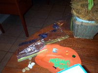Picture 017