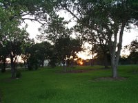 P1001288