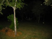 IMG 0231