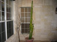 IMG 0394