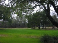 IMG 9828