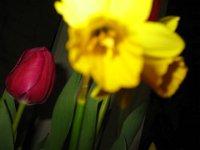 IMG 9830