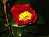 IMG 9834