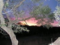 P2100028