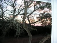 P2160025