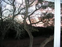 P2160026
