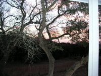 P2160027
