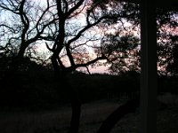 P2160028