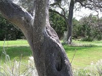 P4130009