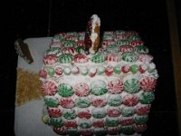 IMG 0368