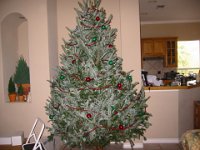 IMG 0375