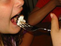 IMG 0230
