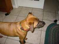 IMG 0058