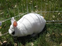 IMG 0069