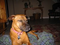 IMG 0079