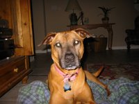 IMG 0080
