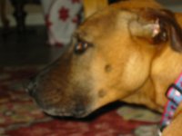 IMG 9773