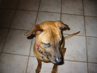 IMG 9840