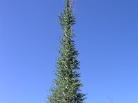 P3130071