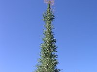 P3130072