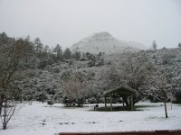 IMG 0008