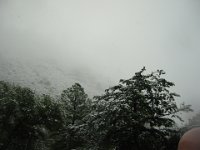 IMG 0009
