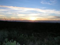 P3160218