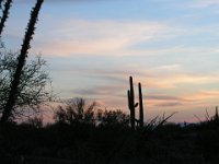 P3160222