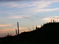 P3160223