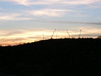 P3160226