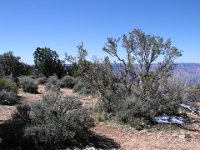 Wupatki National Monument