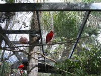 IMG 0042