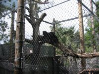 IMG 0046