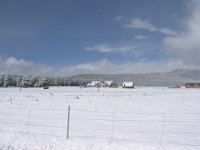 P3140094