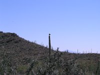 P3160195
