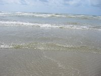 IMG 0244