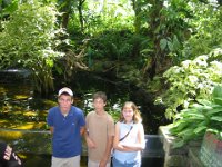 IMG 0246