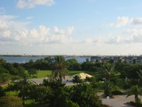 IMG 0254