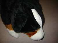 IMG 9791
