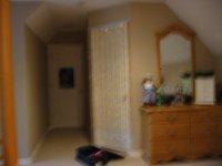 IMG 9810