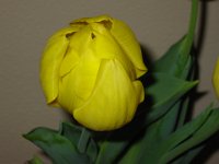 IMG 9881