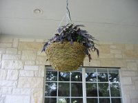 IMG 0427