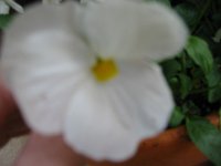 IMG 0430