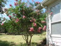 Around the Yard