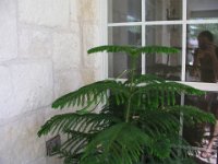 P5260080