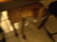P9070078