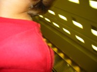 IMG 0439